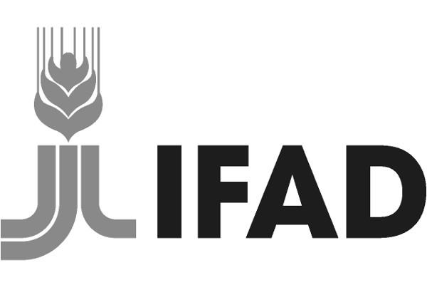 Fonds international de développement agricole (FIDA)