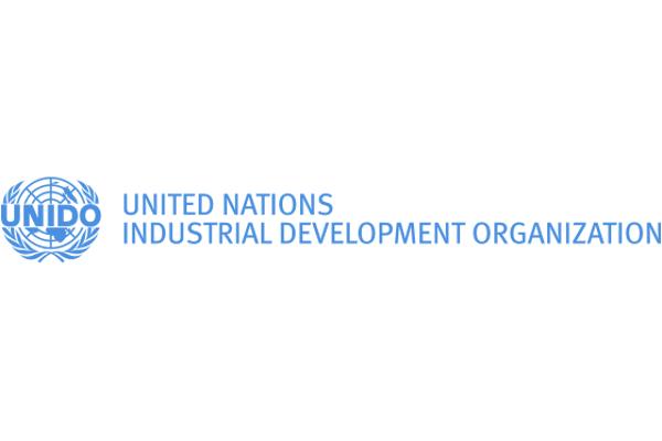 Organisation des Nations Unies pour le développement industriel (ONUDI)