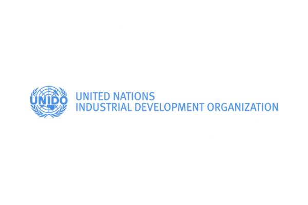 Organisation des Nations Unies pour le développement industriel (ONUDI)