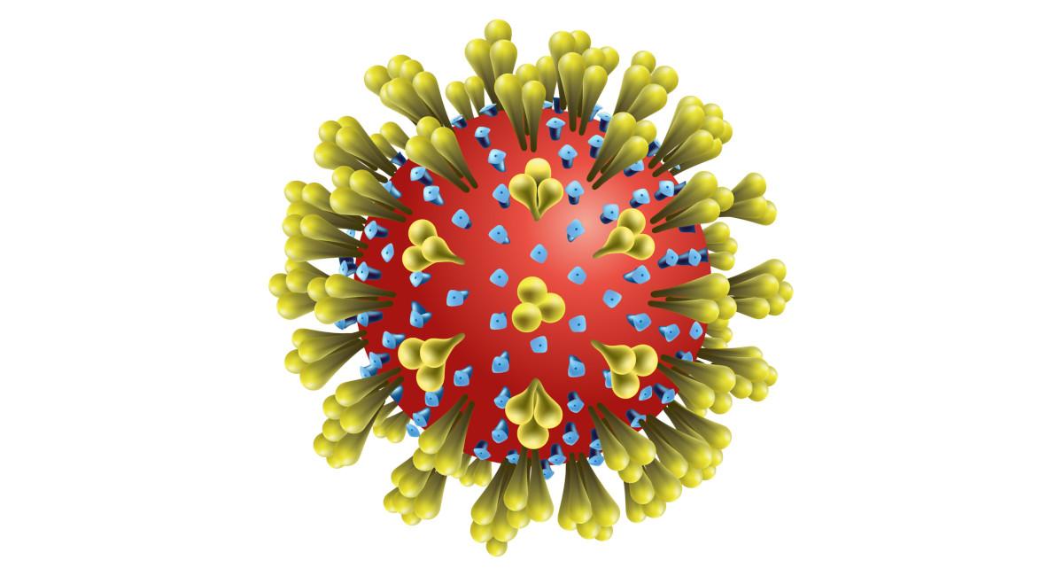 Novel coronavirus (COVID-19) - What is SPC doing to help ...